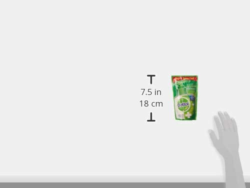 Dettol Original Liquid Handwash | 875ml (29.59 Fl Oz) | Pack of 2