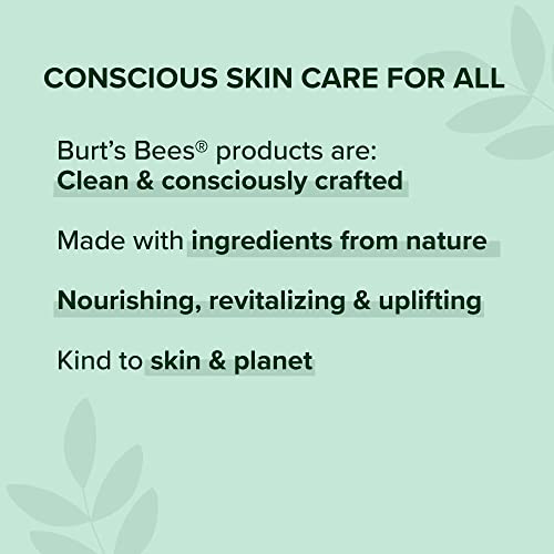 Lip Balm - Beeswax, Strawberry, Coconut and Pear, and Vanilla Bean, With Responsibly Sourced Beeswax, Tint-Free, Natural Origin Lip Treatment, 4 Tubes, 0.15 oz.