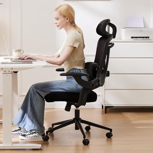 Ergonomic Mesh Office Chair, High Back Desk Chair with 2D Headrest, Up&Down Lumbar Support, Swivel Computer Task Chair with Adjustable Flip-up Armrests,Black