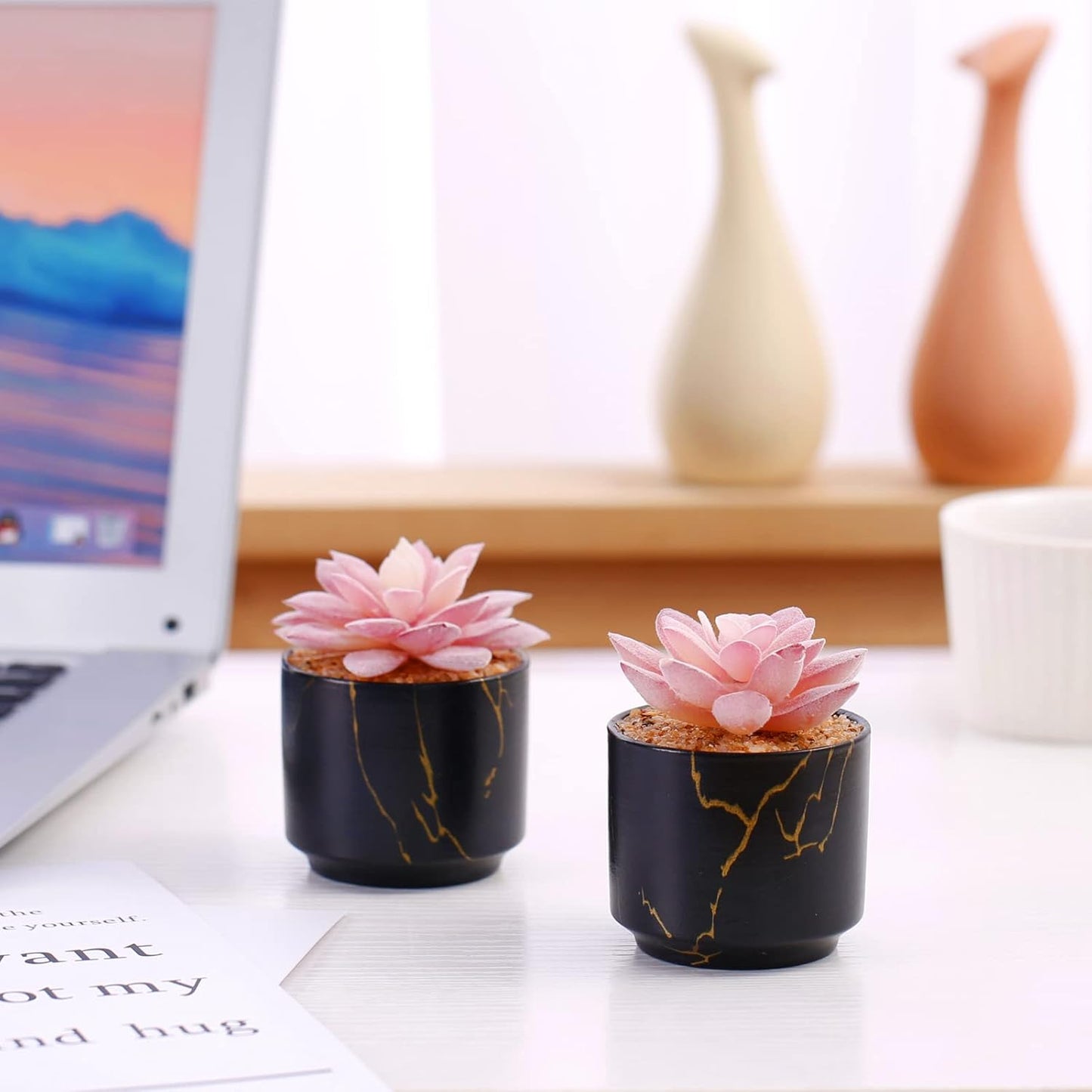 Artificial Plants and Succulents in 2 White Ceramic Pots,Small Fake Plants for Office and Desk Decor,Bathroom, Bedroom,Shelves for Women