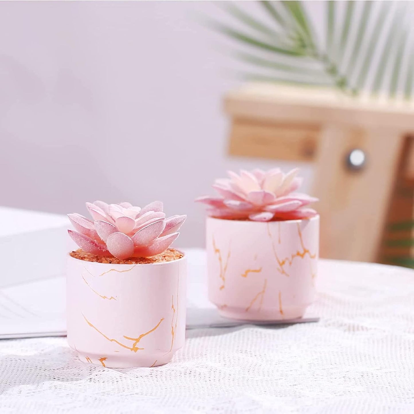 Artificial Plants and Succulents in 2 White Ceramic Pots,Small Fake Plants for Office and Desk Decor,Bathroom, Bedroom,Shelves for Women