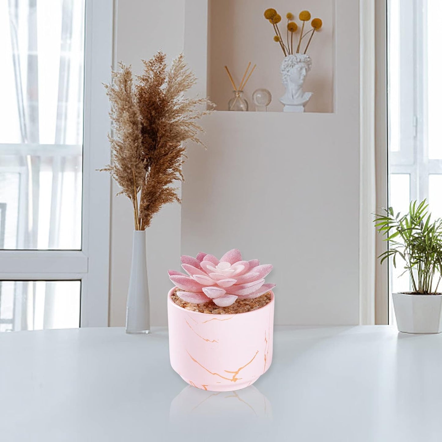 Artificial Plants and Succulents in 2 White Ceramic Pots,Small Fake Plants for Office and Desk Decor,Bathroom, Bedroom,Shelves for Women