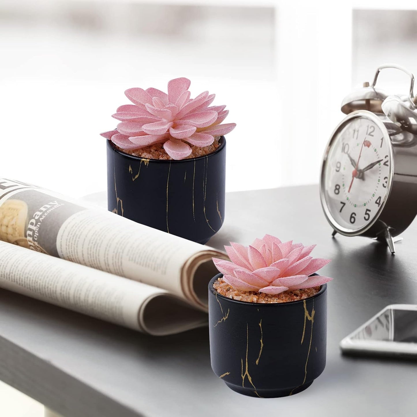 Artificial Plants and Succulents in 2 White Ceramic Pots,Small Fake Plants for Office and Desk Decor,Bathroom, Bedroom,Shelves for Women