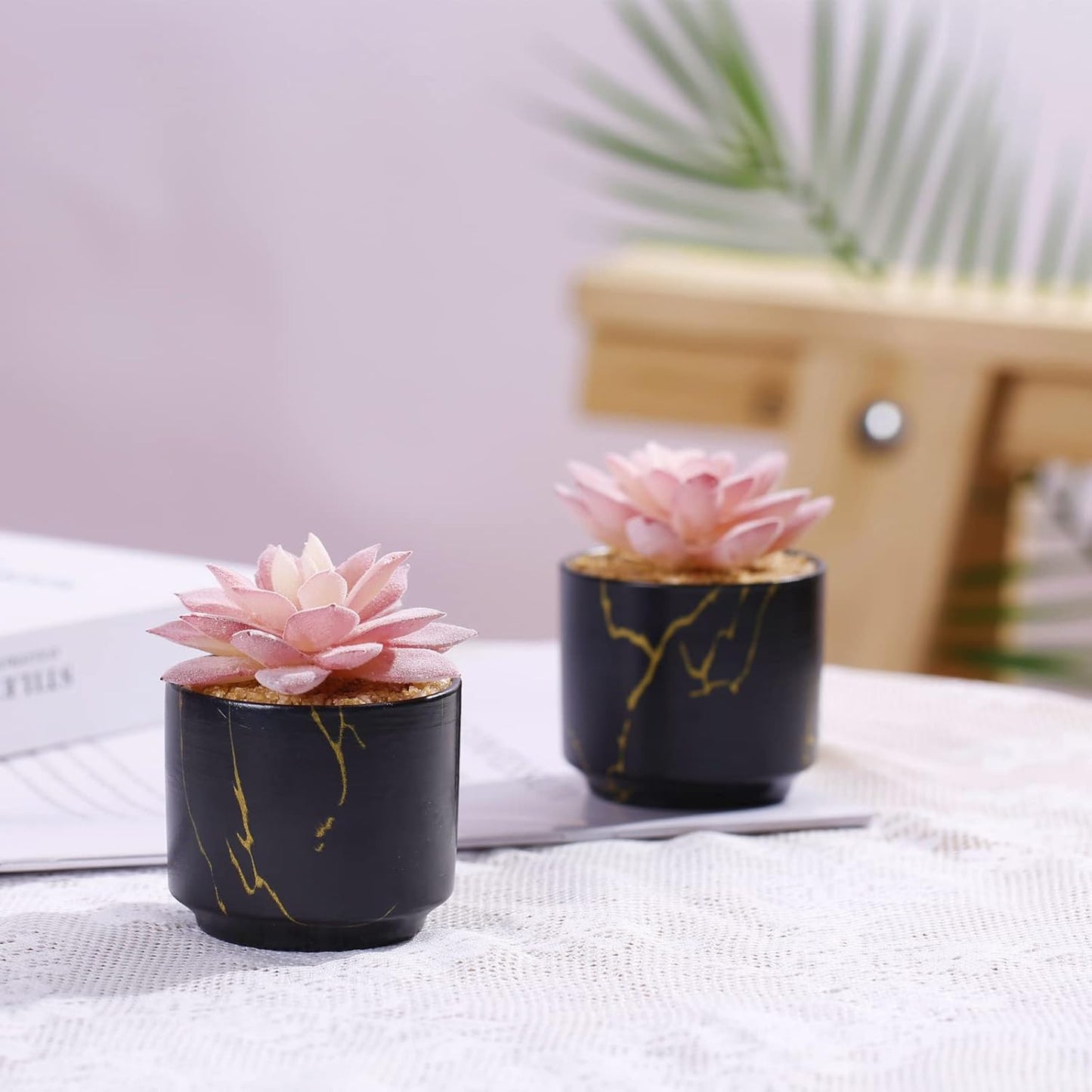 Artificial Plants and Succulents in 2 White Ceramic Pots,Small Fake Plants for Office and Desk Decor,Bathroom, Bedroom,Shelves for Women