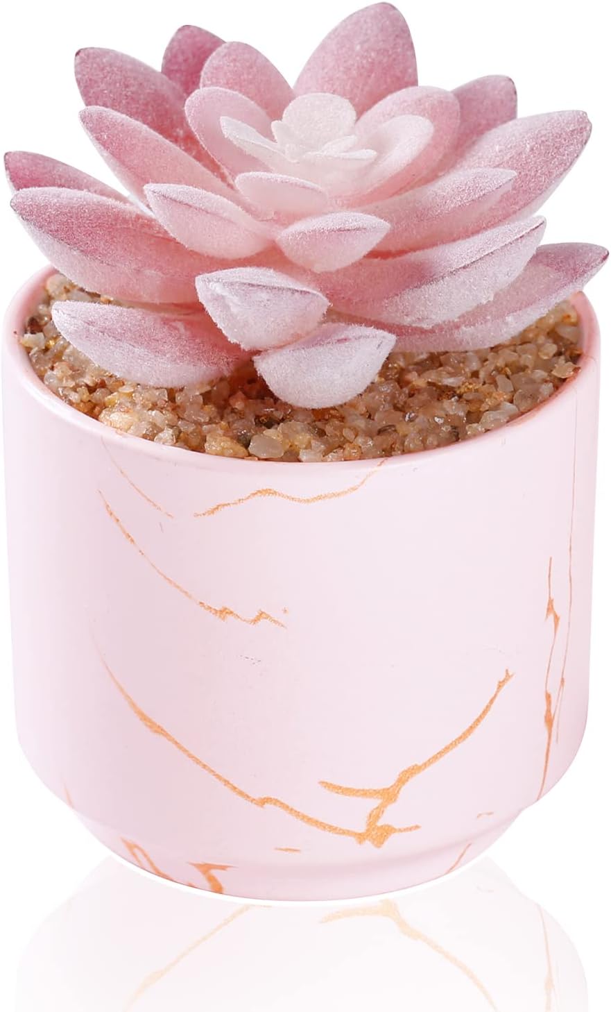 Artificial Plants and Succulents in 2 White Ceramic Pots,Small Fake Plants for Office and Desk Decor,Bathroom, Bedroom,Shelves for Women