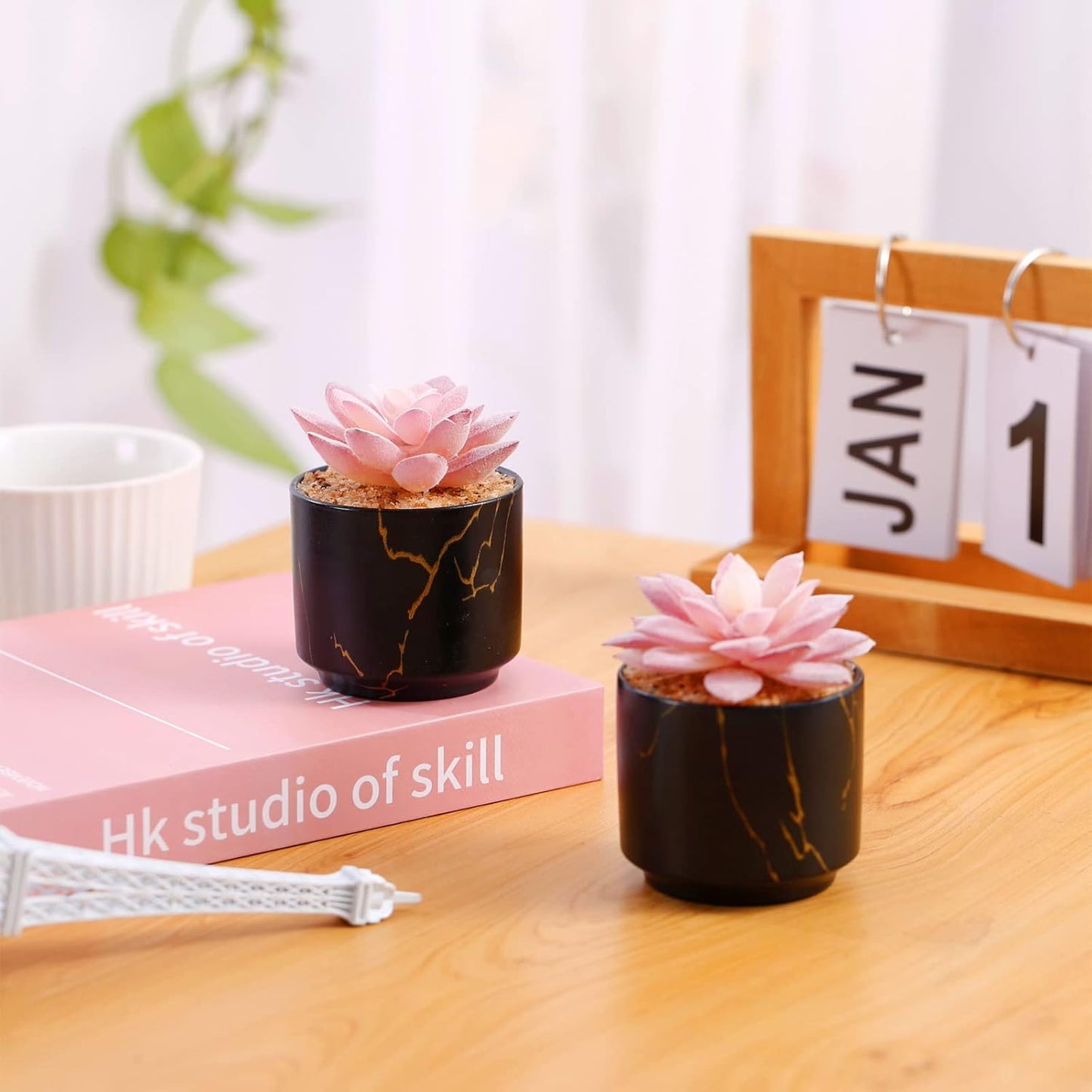 Artificial Plants and Succulents in 2 White Ceramic Pots,Small Fake Plants for Office and Desk Decor,Bathroom, Bedroom,Shelves for Women