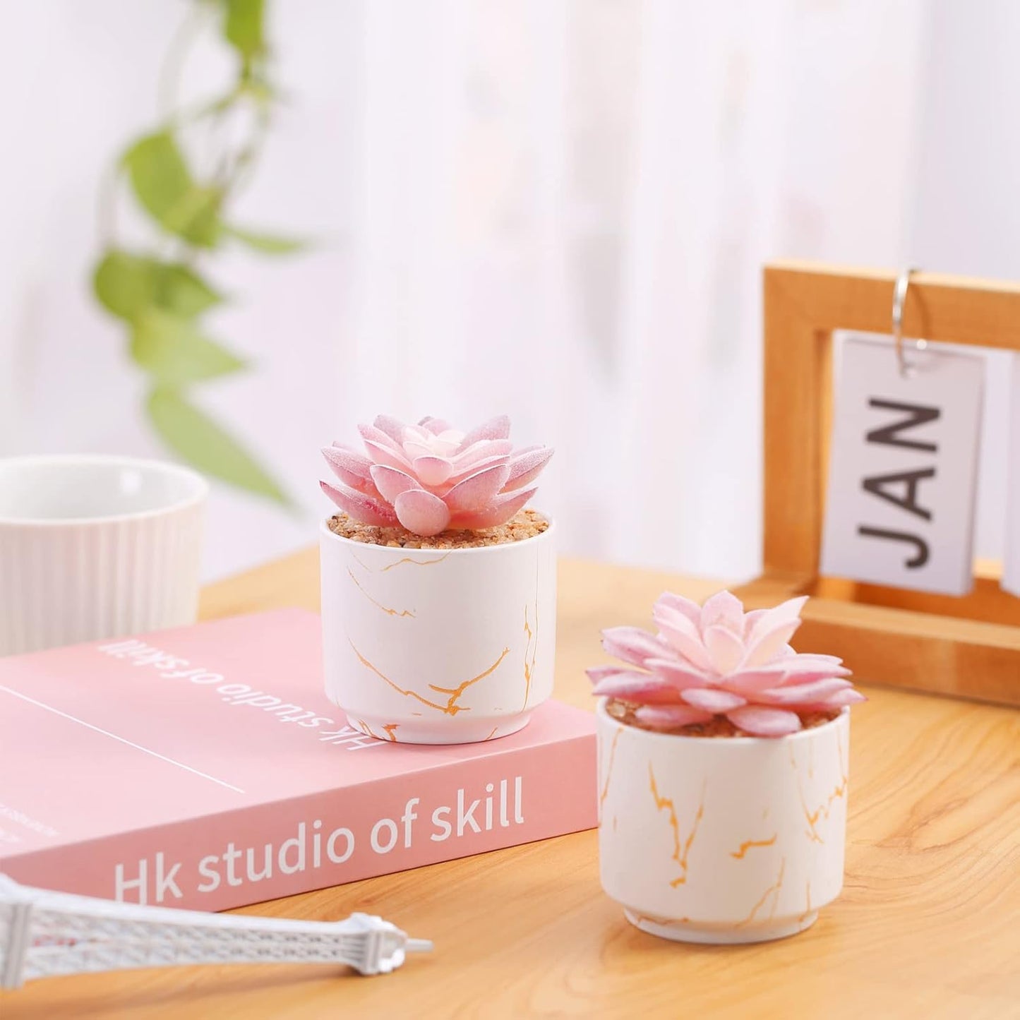 Artificial Plants and Succulents in 2 White Ceramic Pots,Small Fake Plants for Office and Desk Decor,Bathroom, Bedroom,Shelves for Women