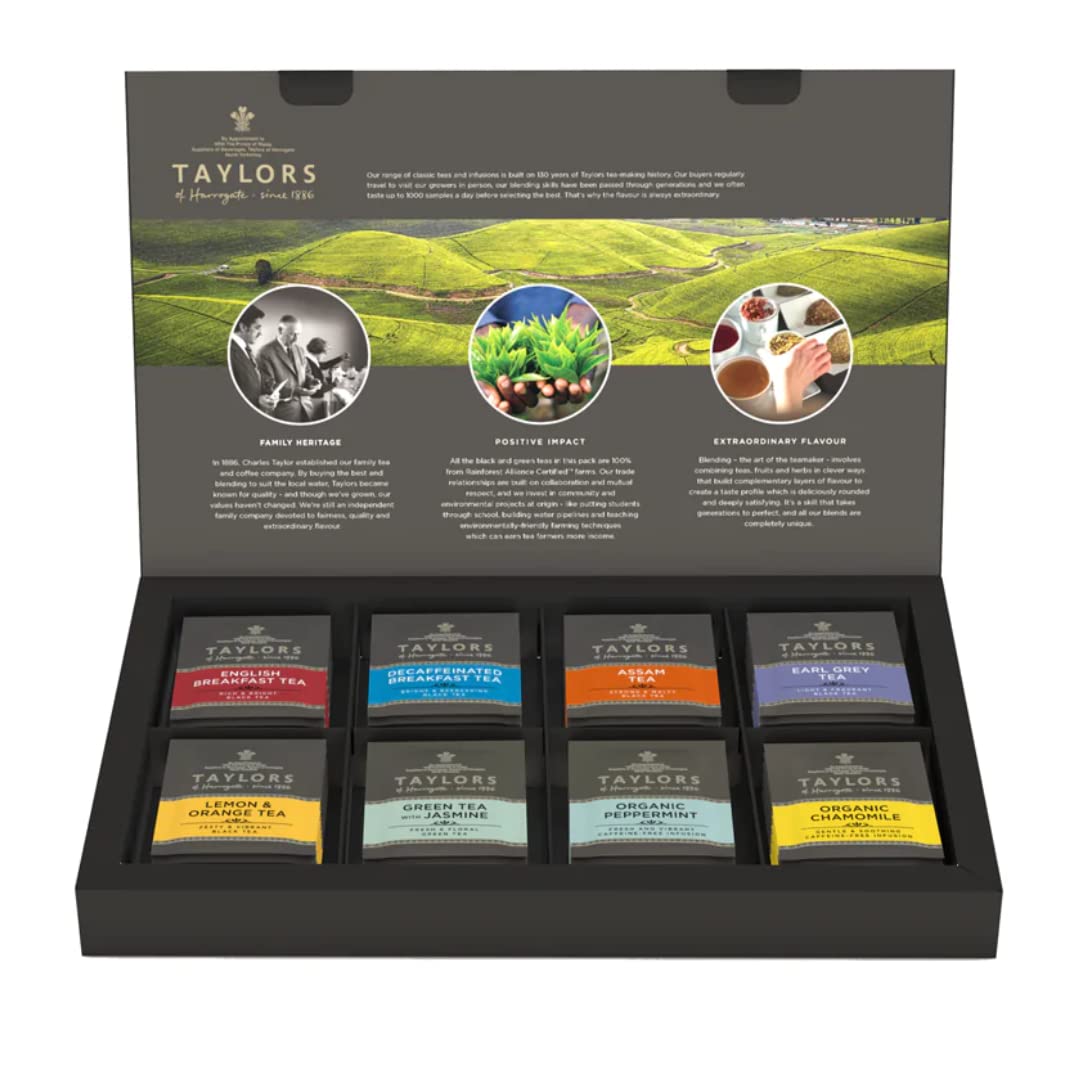 Taylors of Harrogate, Schachtel mit verschiedenen Spezialitätentees, 48 Stück (1er-Pack)