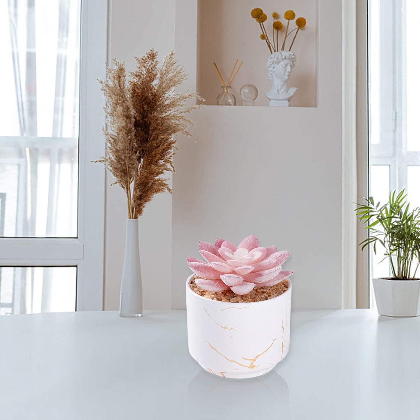 Artificial Plants and Succulents in 2 White Ceramic Pots,Small Fake Plants for Office and Desk Decor,Bathroom, Bedroom,Shelves for Women