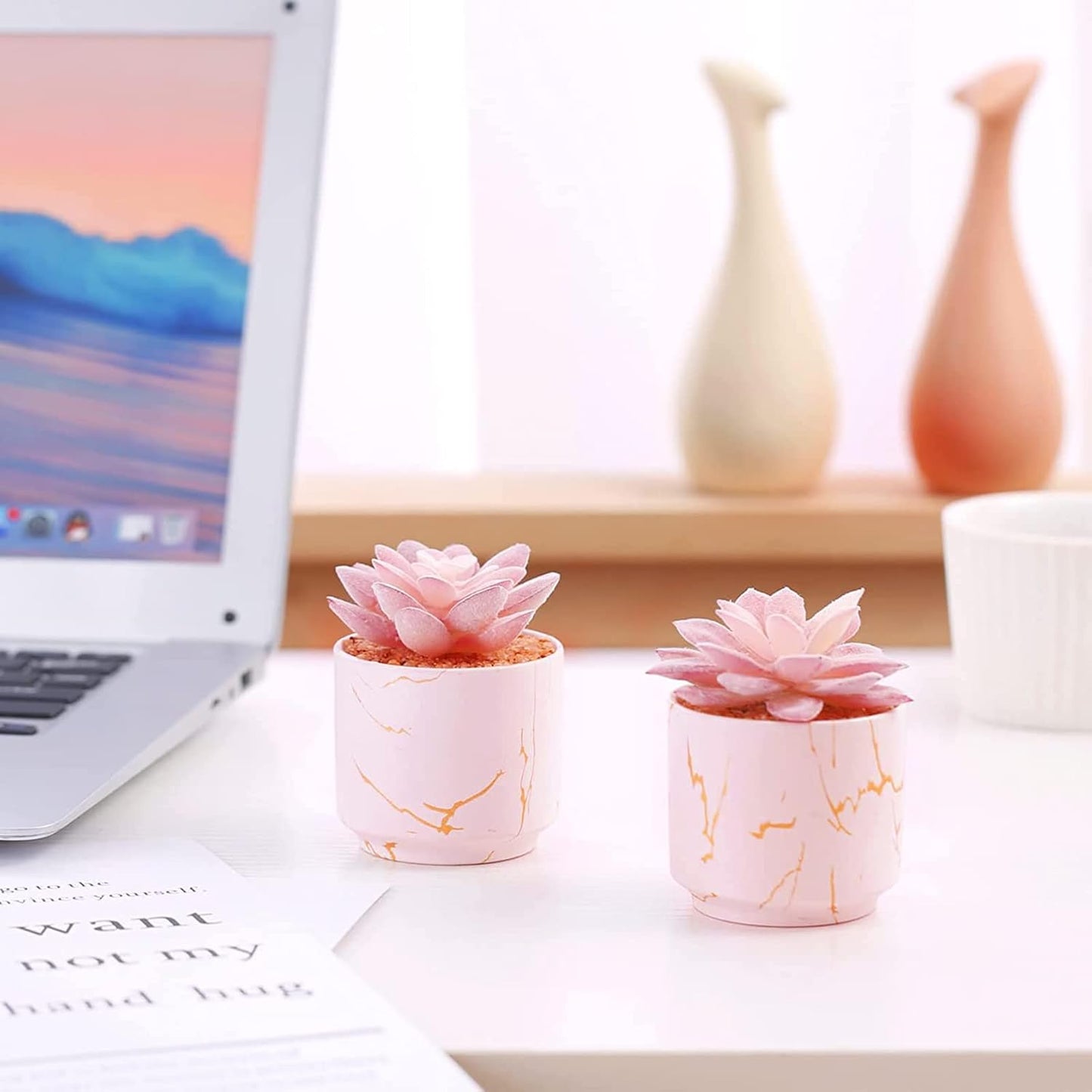 Artificial Plants and Succulents in 2 White Ceramic Pots,Small Fake Plants for Office and Desk Decor,Bathroom, Bedroom,Shelves for Women