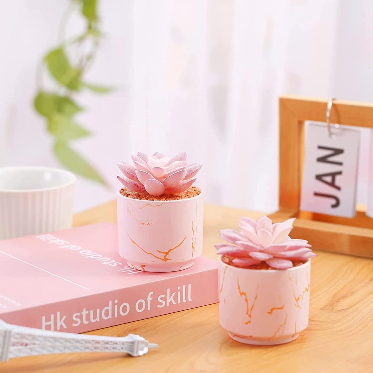 Artificial Plants and Succulents in 2 White Ceramic Pots,Small Fake Plants for Office and Desk Decor,Bathroom, Bedroom,Shelves for Women
