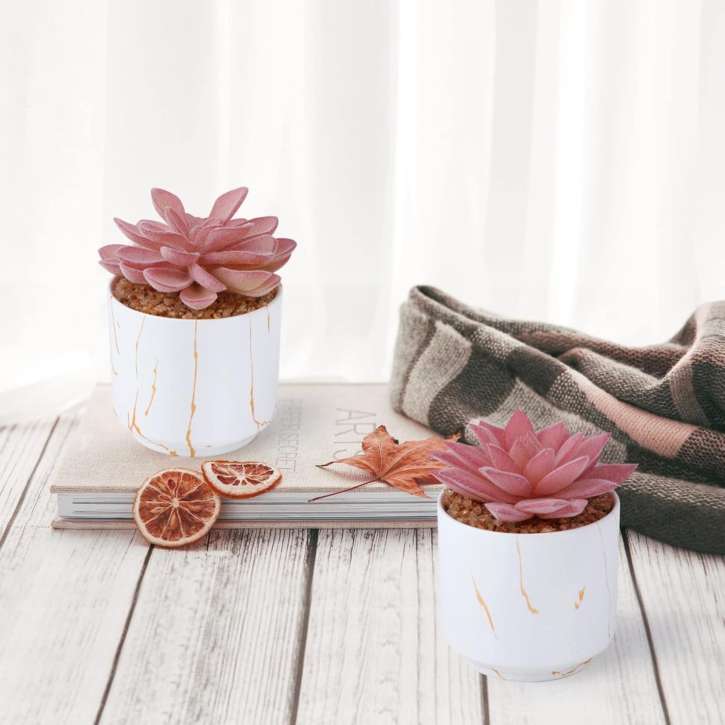 Artificial Plants and Succulents in 2 White Ceramic Pots,Small Fake Plants for Office and Desk Decor,Bathroom, Bedroom,Shelves for Women