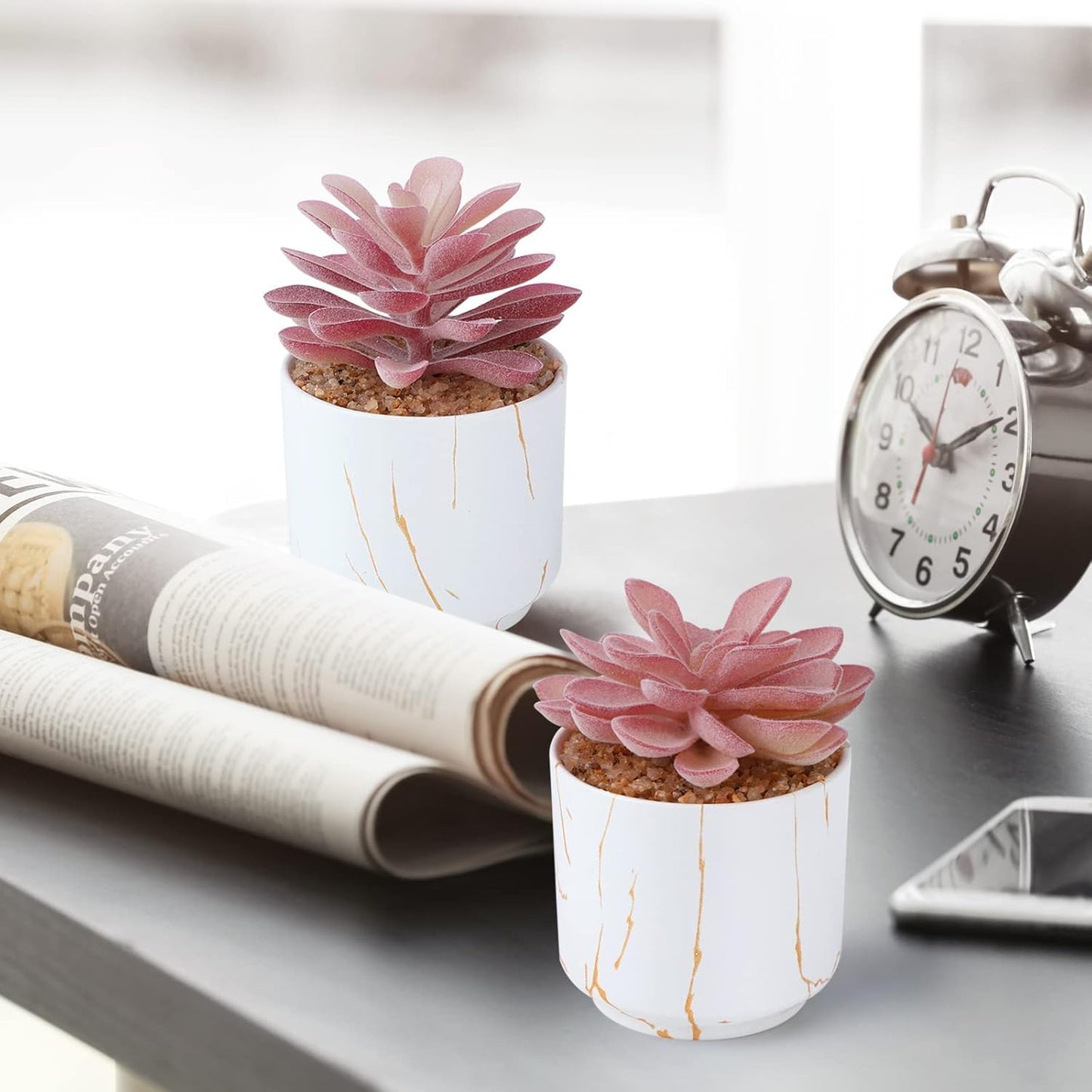 Artificial Plants and Succulents in 2 White Ceramic Pots,Small Fake Plants for Office and Desk Decor,Bathroom, Bedroom,Shelves for Women