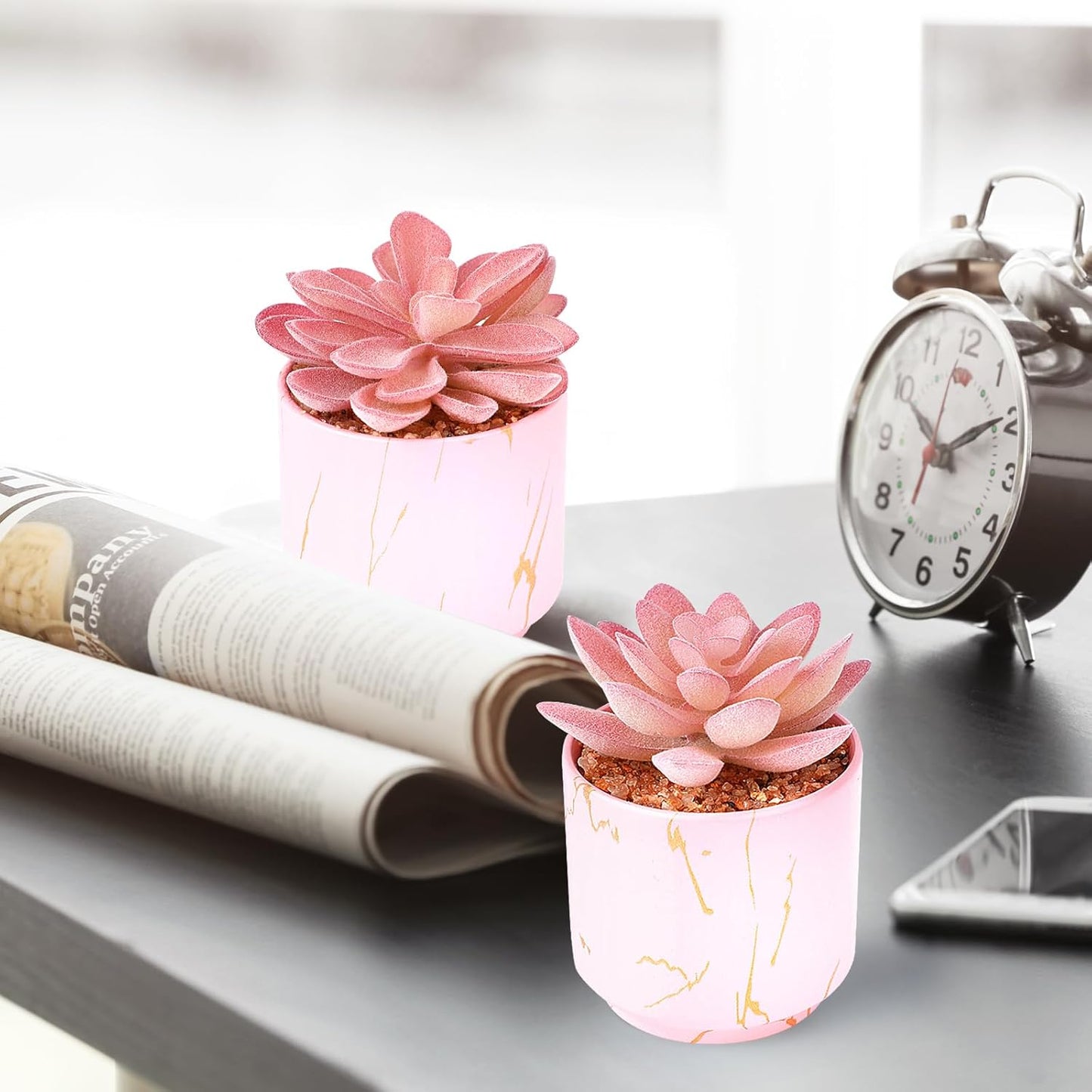 Artificial Plants and Succulents in 2 White Ceramic Pots,Small Fake Plants for Office and Desk Decor,Bathroom, Bedroom,Shelves for Women