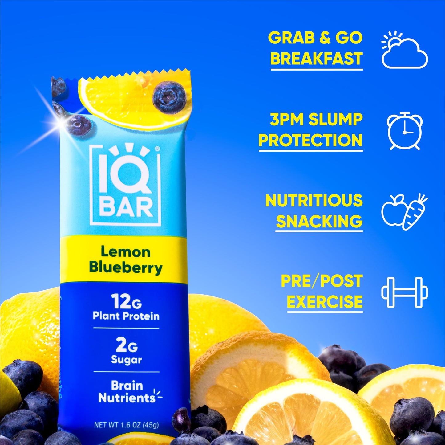 IQBAR Brain and Body Plant Protein Bars - 7 Bar Sampler Pack - Gluten Free, High Fiber, Vegan Snacks - Low Sugar Meal Replacement