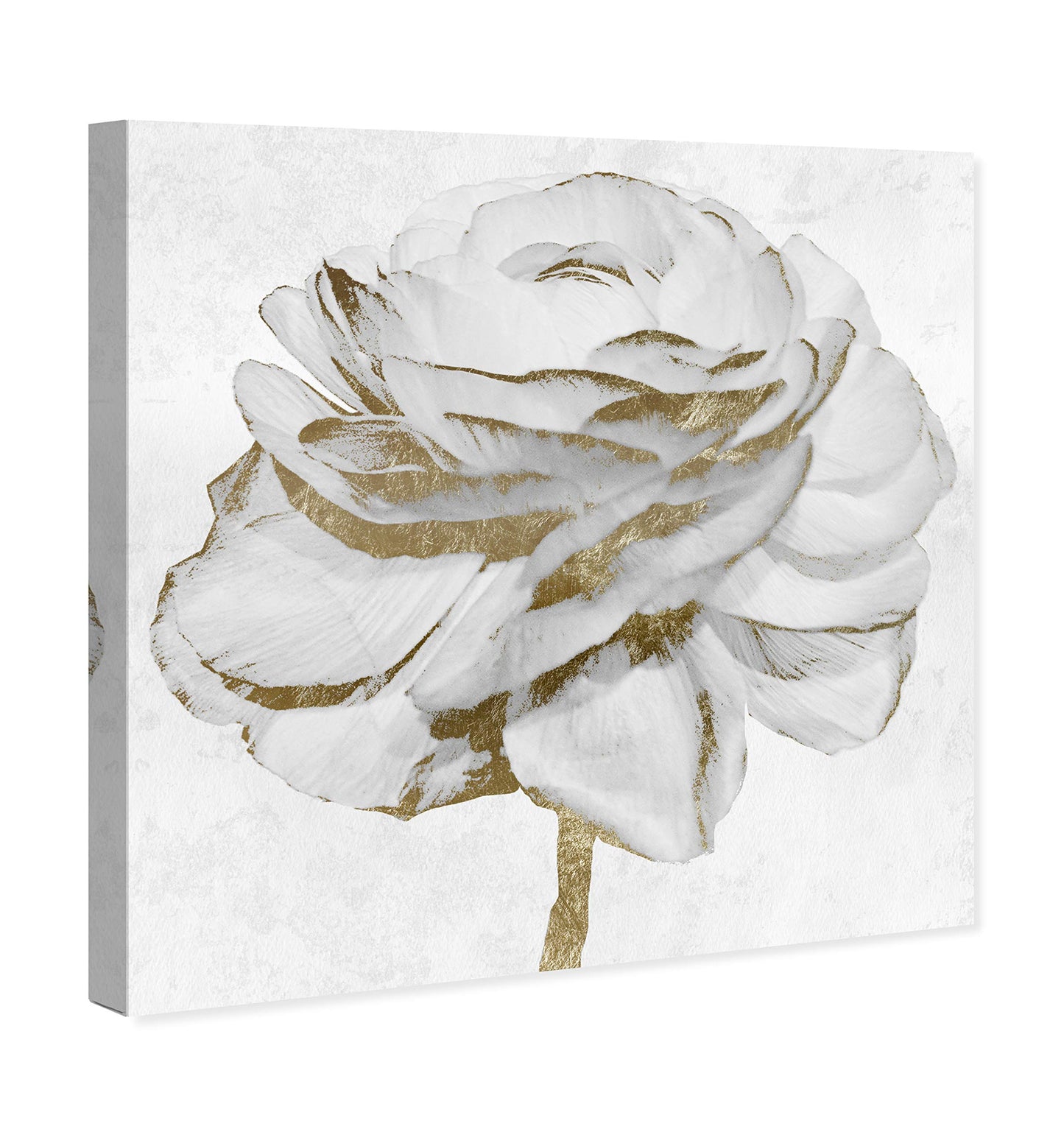 The Oliver Gal Artist Co. Florale Wandkunst, Leinwanddrucke „White Gold Peony“