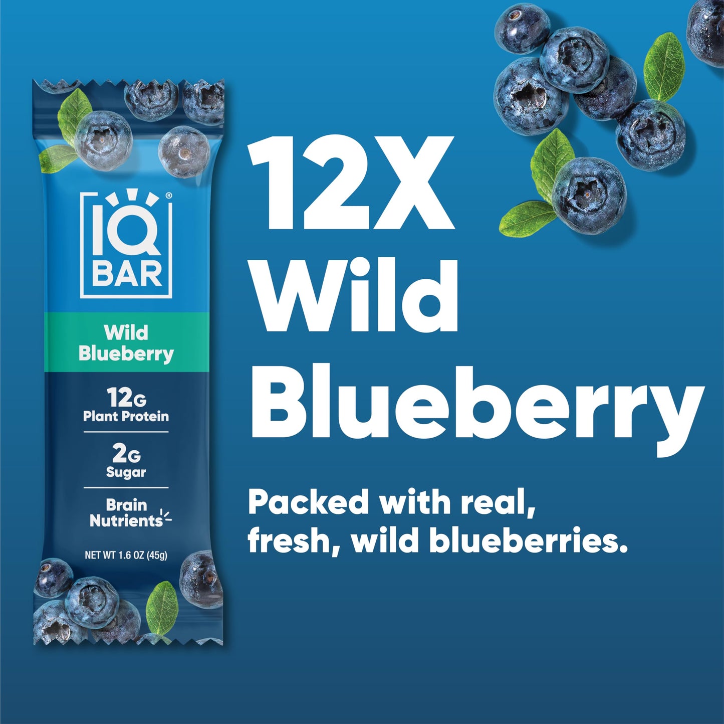 IQBAR Brain and Body Plant Protein Bars - 7 Bar Sampler Pack - Gluten Free, High Fiber, Vegan Snacks - Low Sugar Meal Replacement