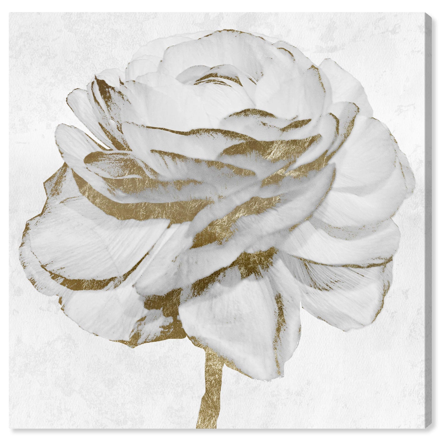 The Oliver Gal Artist Co. Florale Wandkunst, Leinwanddrucke „White Gold Peony“