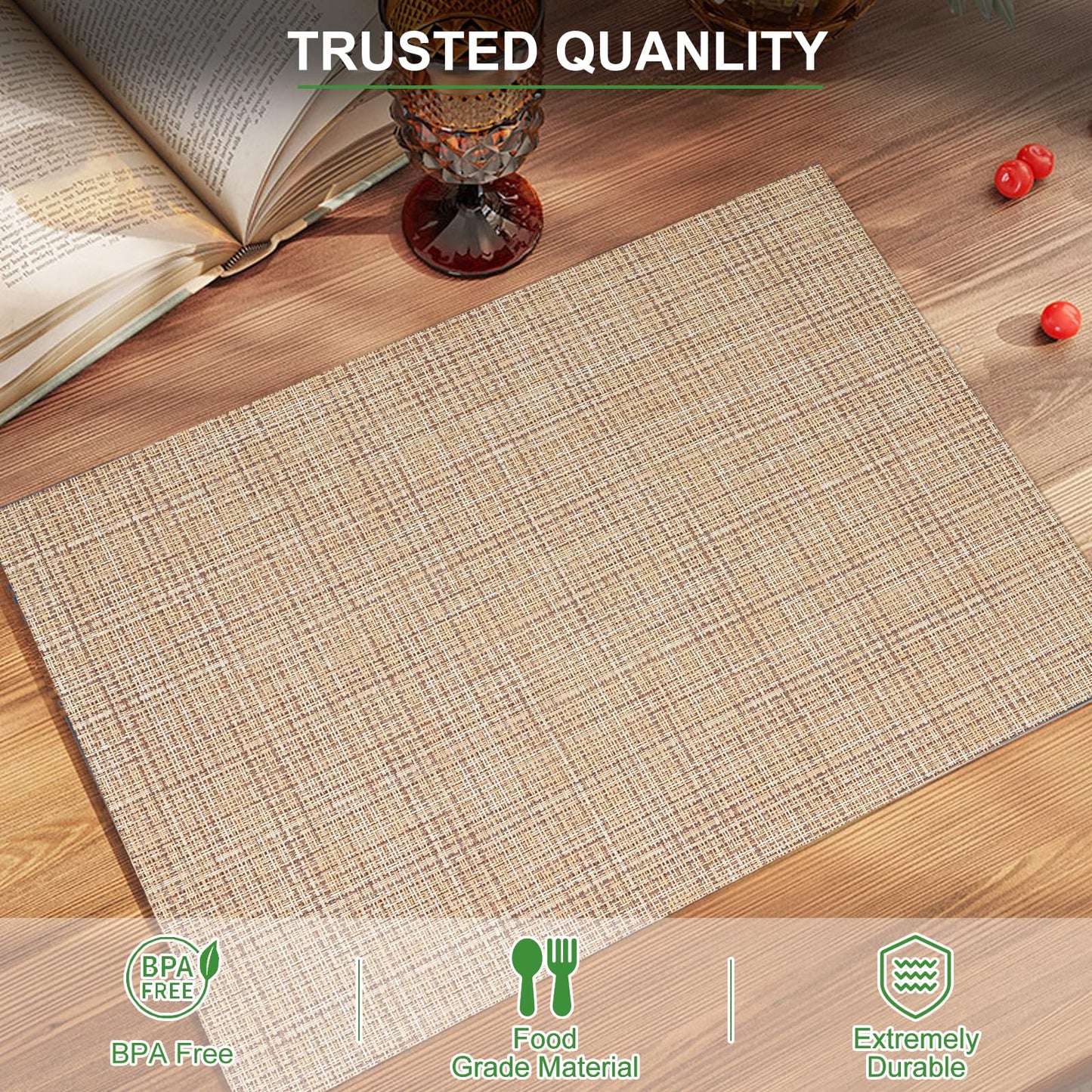 Set of 6 Placemats – Washable Woven Vinyl Table Mats for Dining, Kitchen, Indoor/Outdoor Use