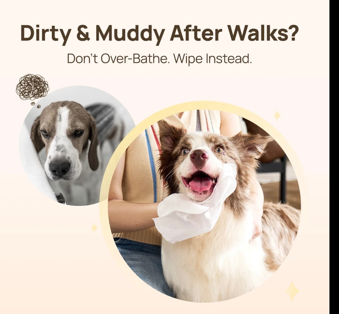 PET Grooming Glove Wipes — 20 Pieces