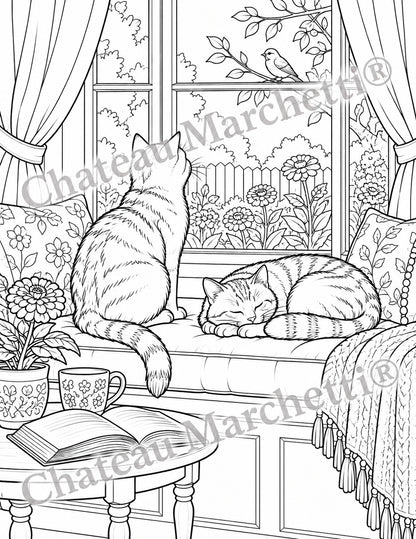 Cozy Cats