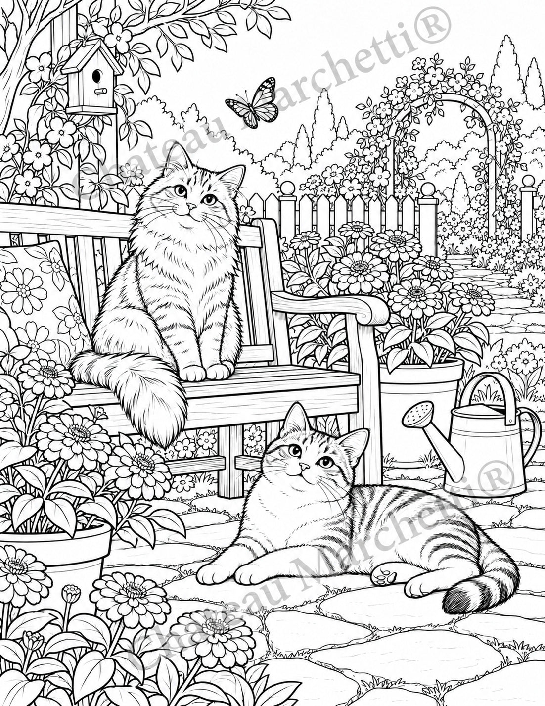 Cozy Cats