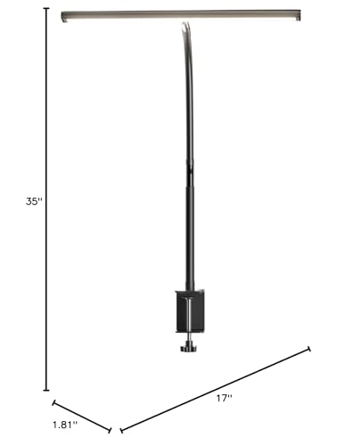 Lampe de bureau LED pour bureau à domicile, lampe de bureau respectueuse des yeux avec gradation continue, col de cygne flexible réglable, adaptateur USB 10 W, lampe de bureau avec pince pour lecture, étude, établi (noir) 