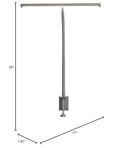 Lampe de bureau LED pour bureau à domicile, lampe de bureau respectueuse des yeux avec gradation continue, col de cygne flexible réglable, adaptateur USB 10 W, lampe de bureau avec pince pour lecture, étude, établi (noir) 