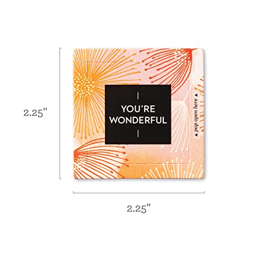 Compendium ThoughtFulls Pop-Open Cards — 2-Pack of Smile, Thank You — 60 Pop-Open Cards, Each with a Different Message Inside