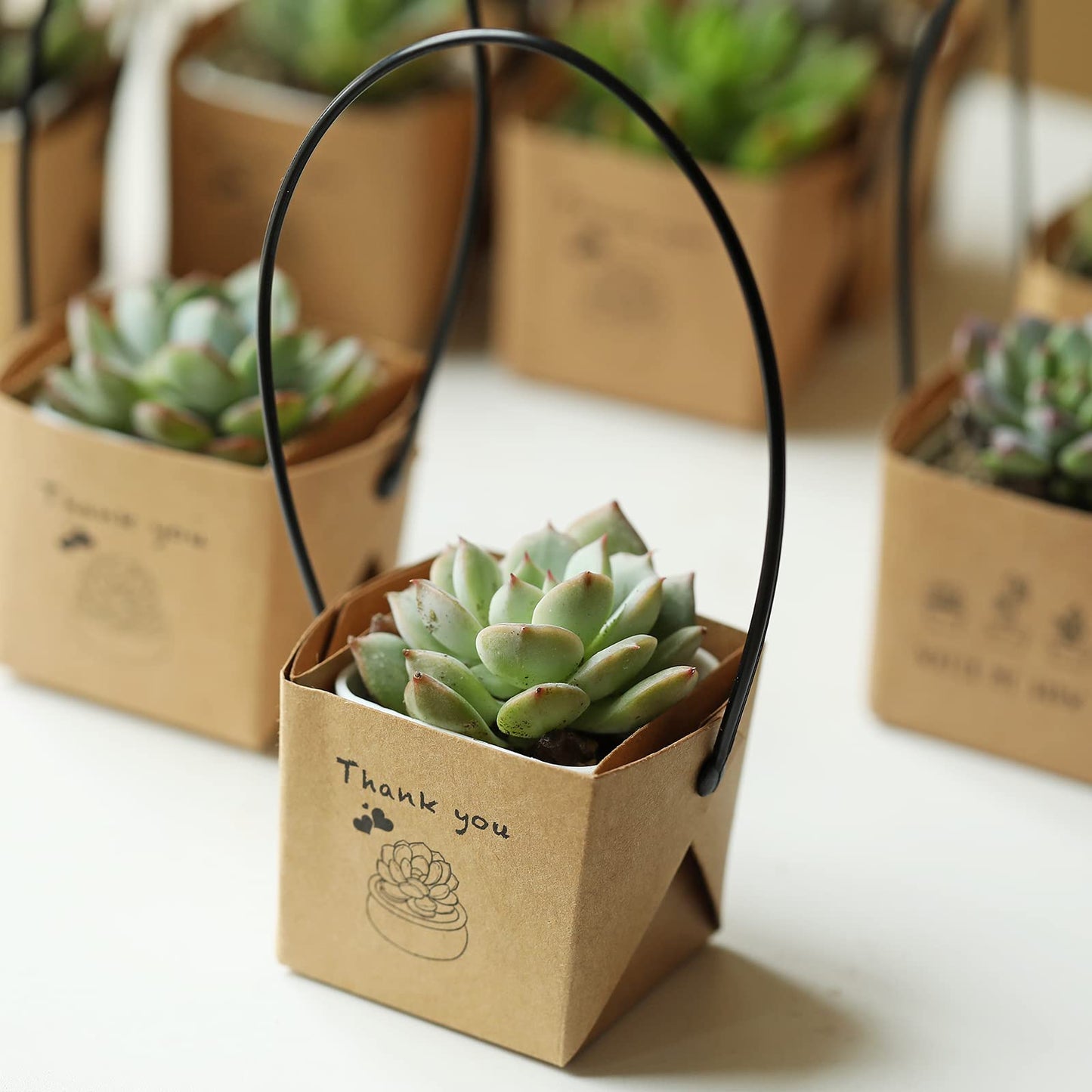 NITHECON 40pcs Thank You Succulents Wraps [NOT Include Plants and Pots]-[Fits 2 Inch Pots] Succulent Gift Wraps bags Decoration Sleeve Succulent for Wedding Baby Shower Favors Ideas,White