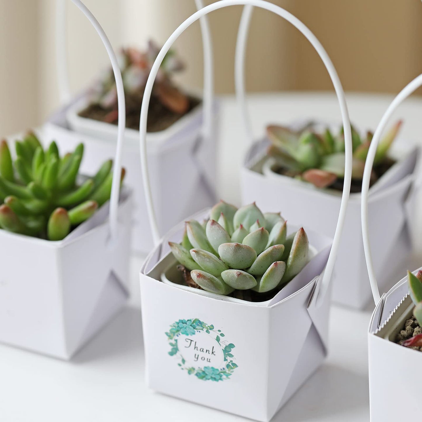 NITHECON 40pcs Thank You Succulents Wraps [NOT Include Plants and Pots]-[Fits 2 Inch Pots] Succulent Gift Wraps bags Decoration Sleeve Succulent for Wedding Baby Shower Favors Ideas,White