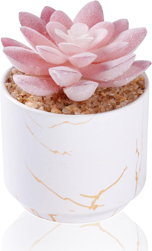 Artificial Plants and Succulents in 2 White Ceramic Pots,Small Fake Plants for Office and Desk Decor,Bathroom, Bedroom,Shelves for Women
