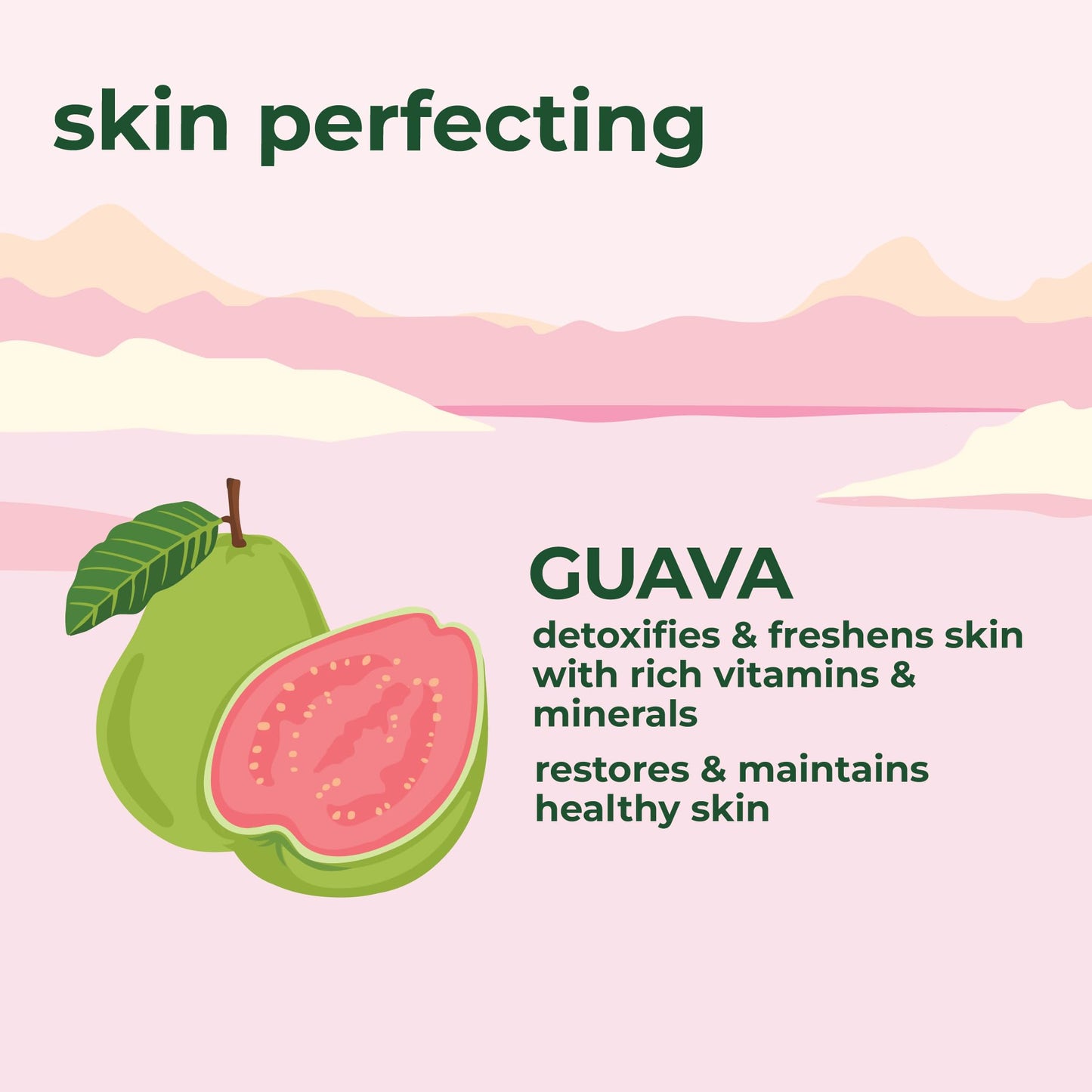 Petal Fresh Pure Perfecting Guava Nectar Body Butter, Organic Coconut Oil, Argan Oil, Shea Butter, Promotes Healthy Skin, Vegan and Cruelty Free, 8 oz (Guava Nectar)