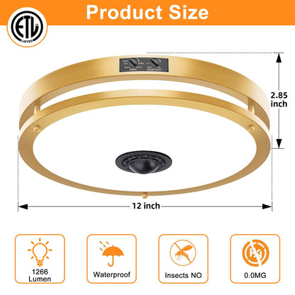 Motion Sensor LED Ceiling Light – Adjustable Color Temp, Outdoor Flush Mount