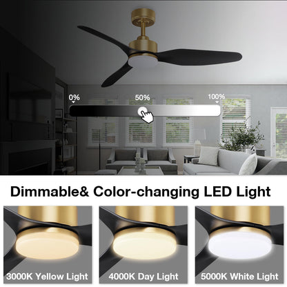 Smart LED Ceiling Fan – WiFi/Alexa Control, Quiet DC Motor, Indoor/Outdoor