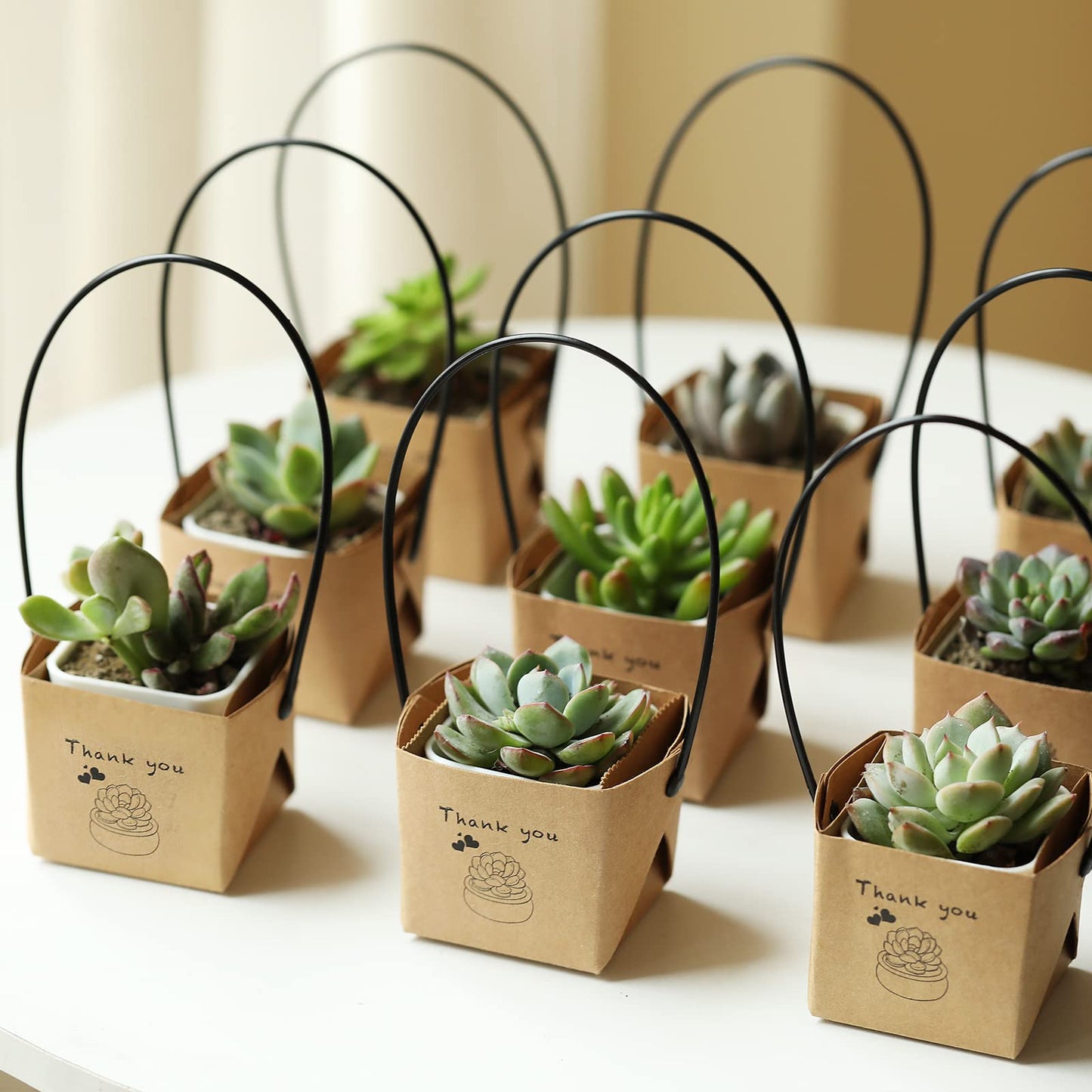 NITHECON 40pcs Thank You Succulents Wraps [NOT Include Plants and Pots]-[Fits 2 Inch Pots] Succulent Gift Wraps bags Decoration Sleeve Succulent for Wedding Baby Shower Favors Ideas,White