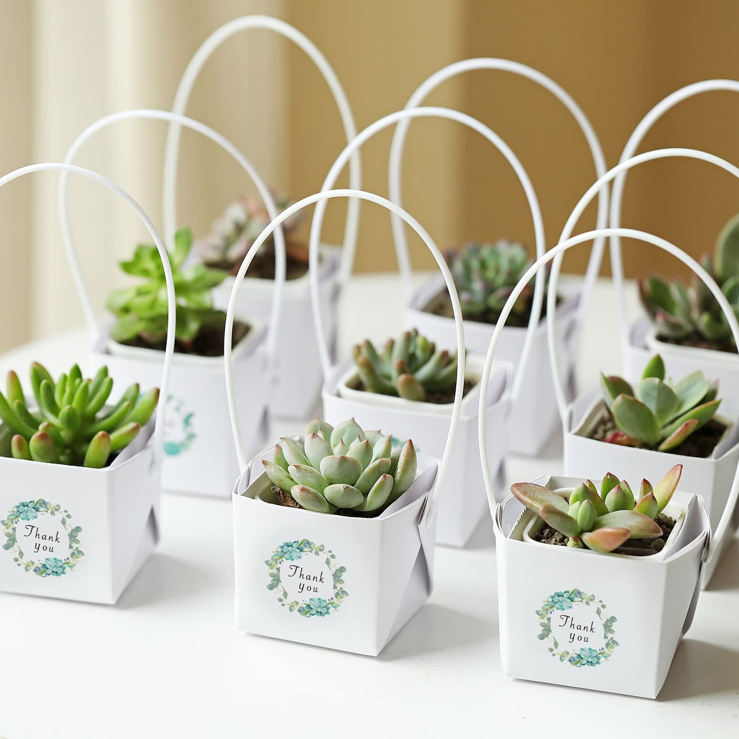NITHECON 40pcs Thank You Succulents Wraps [NOT Include Plants and Pots]-[Fits 2 Inch Pots] Succulent Gift Wraps bags Decoration Sleeve Succulent for Wedding Baby Shower Favors Ideas,White