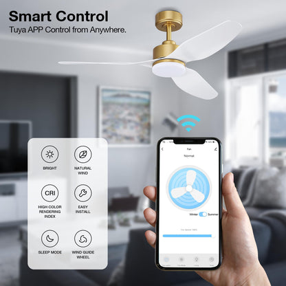 Smart LED Ceiling Fan – WiFi/Alexa Control, Quiet DC Motor, Indoor/Outdoor