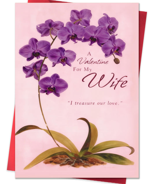 IDU Valentines Day Card,Valentines Day Cards Gifts for Him Her,Valentines Day Card for Husband Wife Boyfriend Girlfriend Fiance Fiancee Men Women - You Are My Favorite Love Note