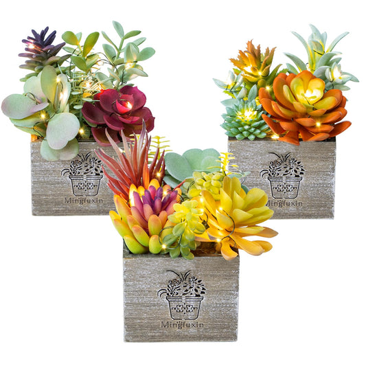 Artificial Succulents with LED String Lights – Small Faux Plants