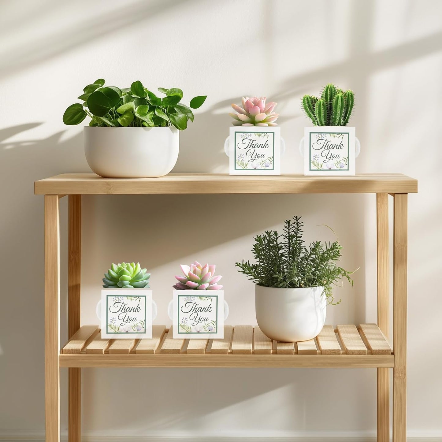 50 Pcs Succulent Wrap Bags with 100 Pcs Thank You Stickers, Unique Baby Shower Succulents Favors Fit 2.5 Inch Pots, Wedding Birthday Graduation Bridal Shower Party Favors for Guest Gift