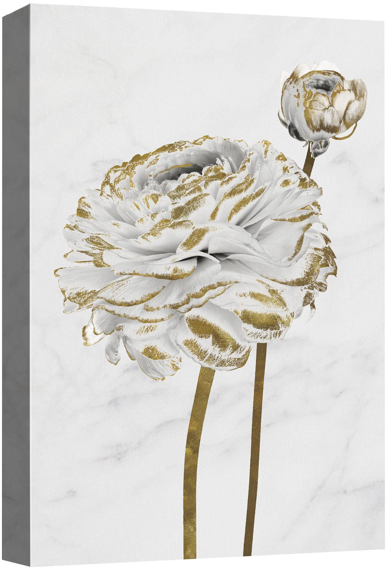 Canvas Print Wall Art White Gold Close Up Garden Carnation Flower Plant Nature Wilderness Illustrations Modern Art Farmhouse/Country Rustic Relax/Calm for Living Room, Bedroom, Office - 16"x24"