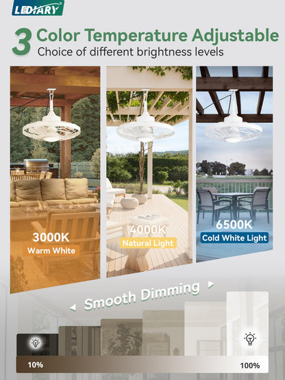Outdoor Hanging Ceiling Fan with Light – 3CCT, 6-Speed, IP65