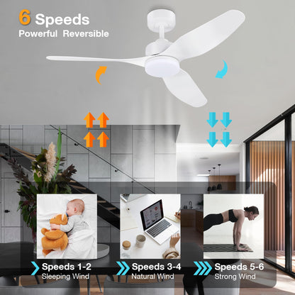 Smart LED Ceiling Fan – WiFi/Alexa Control, Quiet DC Motor, Indoor/Outdoor