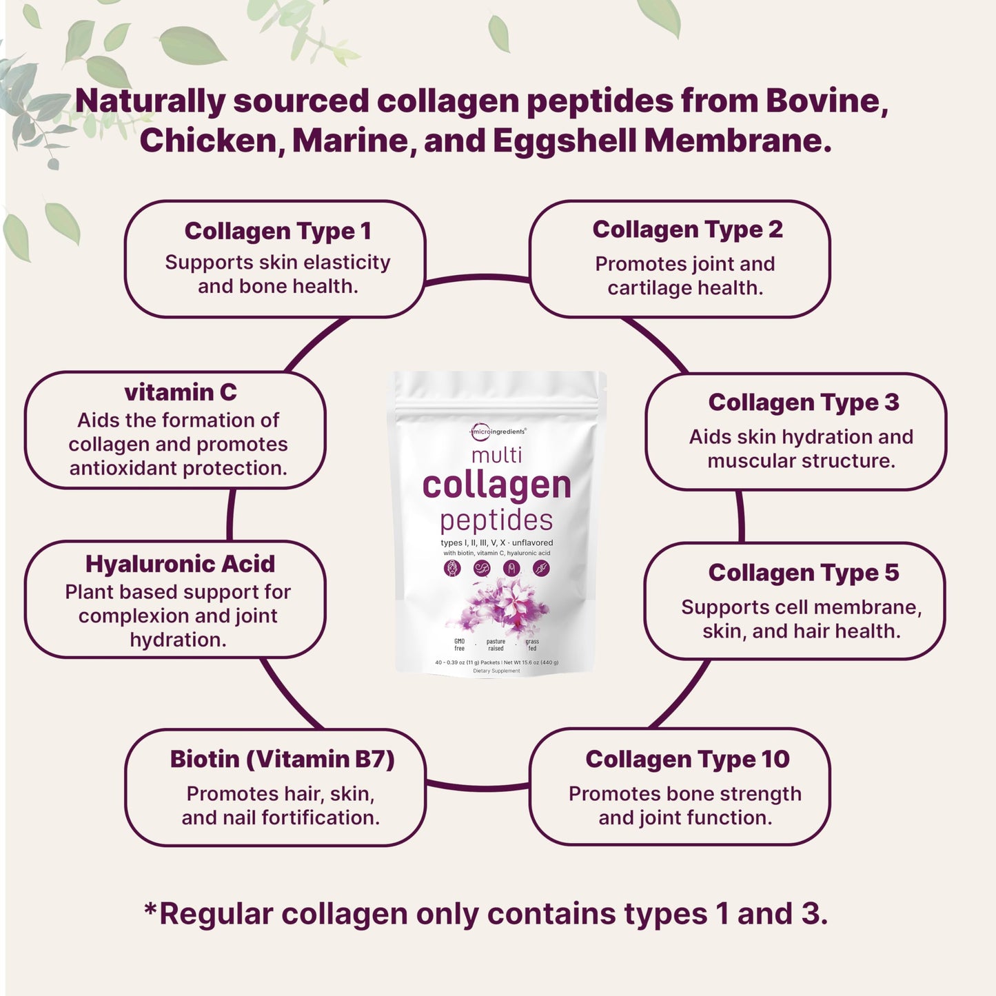 Multi Collagen Protein Powder, 2lbs – Hydrolyzed Collagen Peptides | Type I,II,III,V,X with Biotin 10000mcg, Hyaluronic Acid, Vitamin C – Unflavored – Keto & Paleo Friendly, Easy Dissolve, Non-GMO