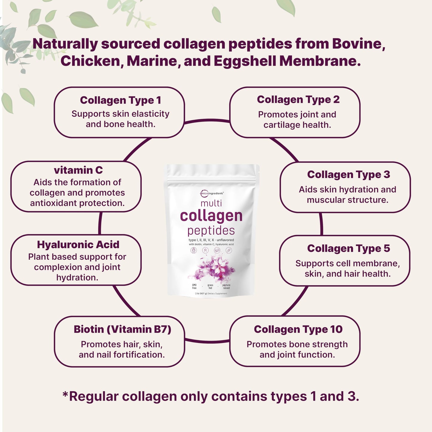 Multi Collagen Protein Powder, 2lbs – Hydrolyzed Collagen Peptides | Type I,II,III,V,X with Biotin 10000mcg, Hyaluronic Acid, Vitamin C – Unflavored – Keto & Paleo Friendly, Easy Dissolve, Non-GMO