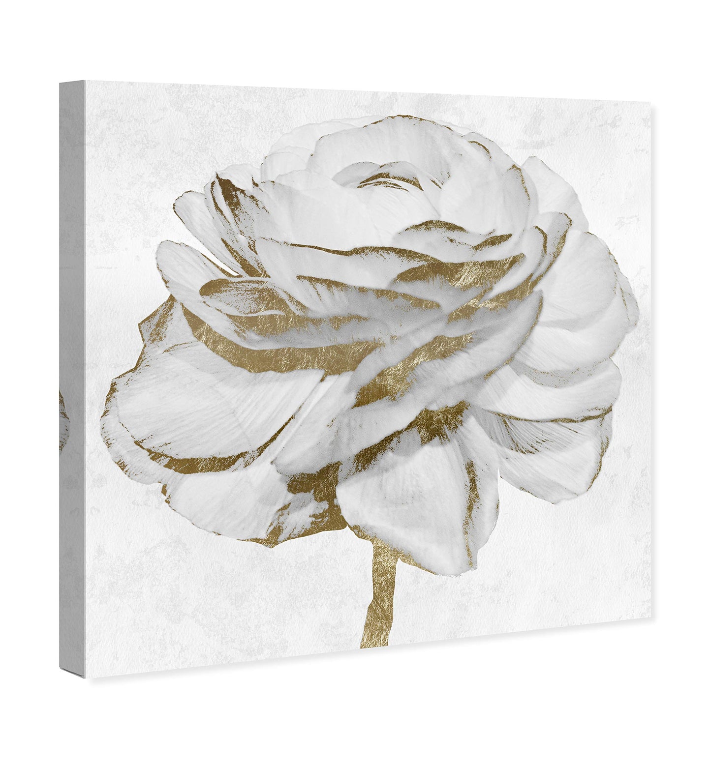 The Oliver Gal Artist Co. Floral Wall Art Canvas Prints 'White Gold Peony'