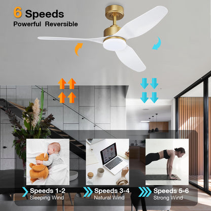 Smart LED Ceiling Fan – WiFi/Alexa Control, Quiet DC Motor, Indoor/Outdoor