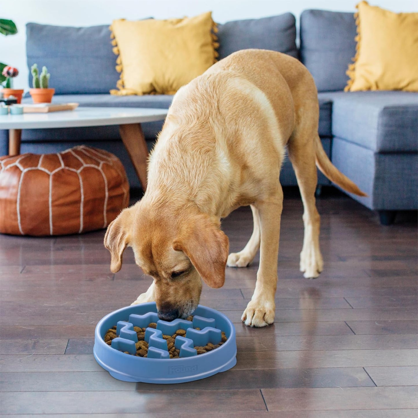 Slow Feeder Dog Bowl with Puzzle Maze, Non-Slip, Holds 4 Cups, Helps Prevent Bloat & Improve Digestion