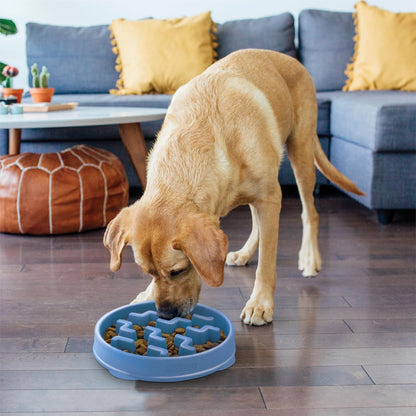 Slow Feeder Dog Bowl with Puzzle Maze, Non-Slip, Holds 4 Cups, Helps Prevent Bloat & Improve Digestion